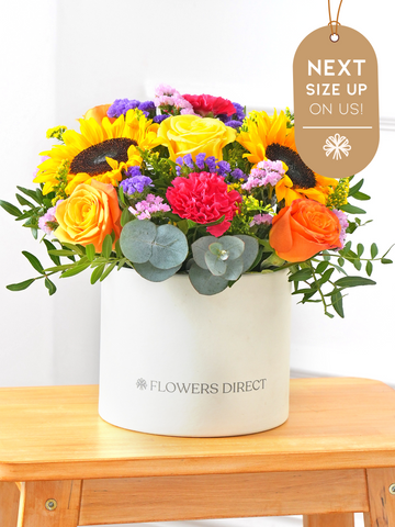 Colour Burst Hatbox Next Size Up – On Us!