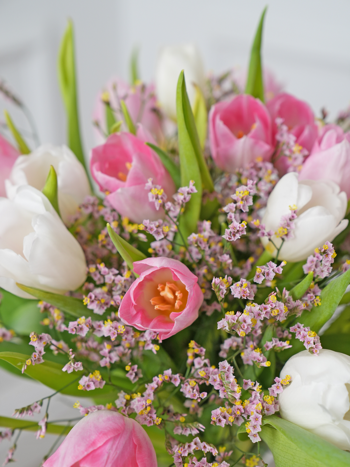 Mixed Tulips - Vase