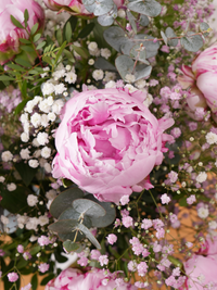 Pink Peony - Vase – The Pink Peony Vase with gypsophila fillers is the perfect gift for any occasion....