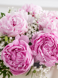 Pink Peony - Hatbox – The Pink Peony Hatbox with pink sweet William, pink and white gypsophila, eucalyptus and...