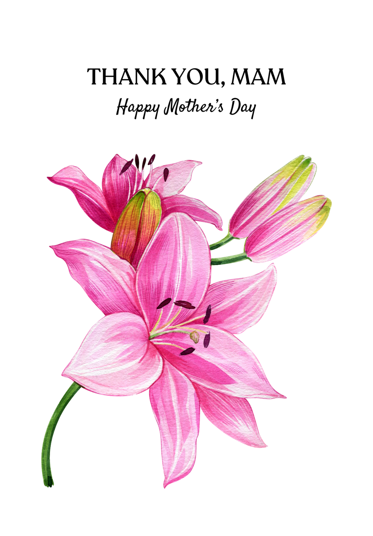 Occasion Card