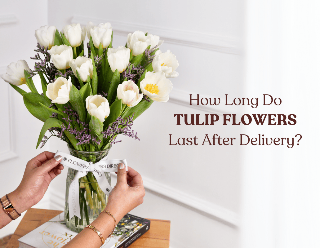 How Long Do Tulip Flowers Last After Delivery?