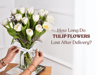 How Long Do Tulip Flowers Last After Delivery?