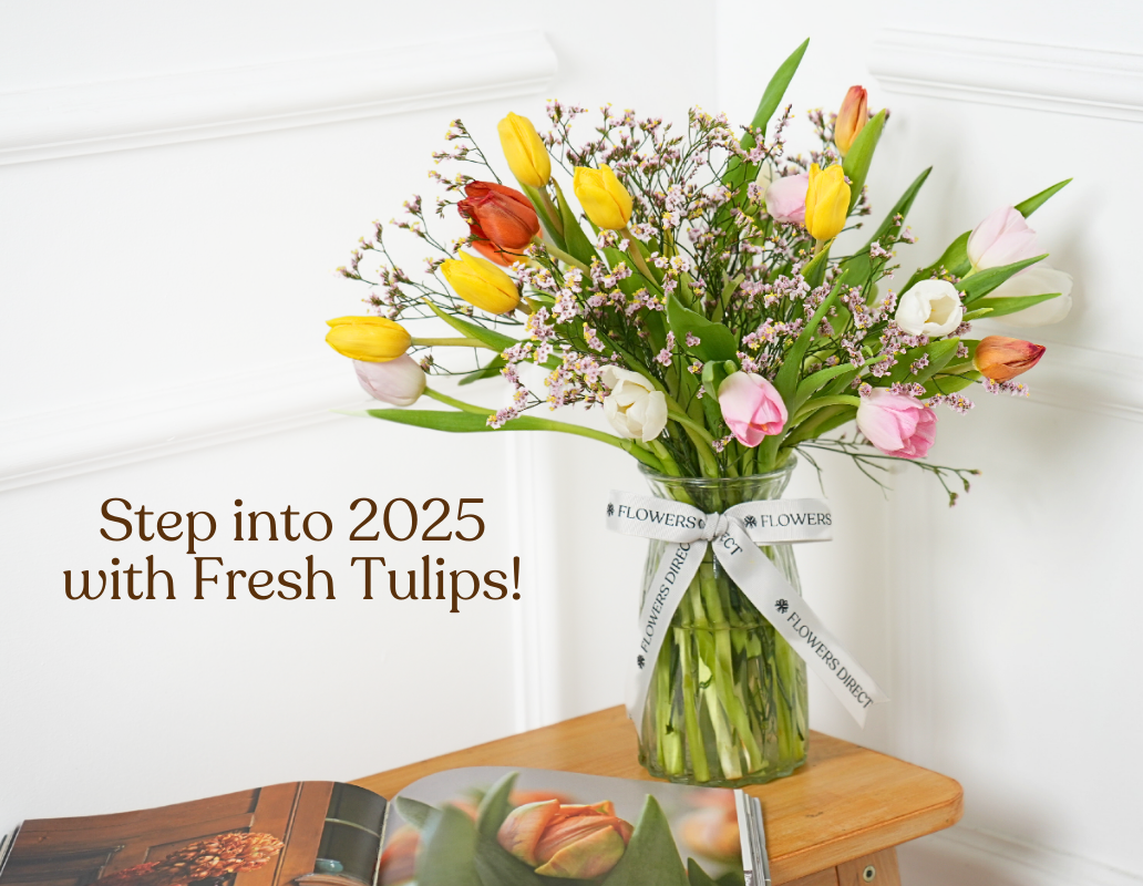 Brighten New Year Celebrations with Affordable Tulip Bouquets