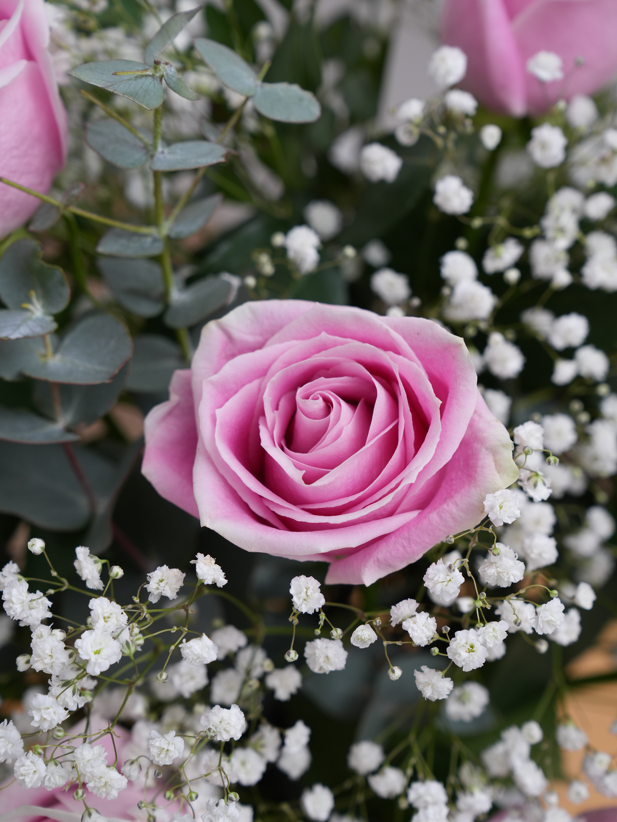 Women&#39;s Day 12 Long Stem Pink Roses - Vase