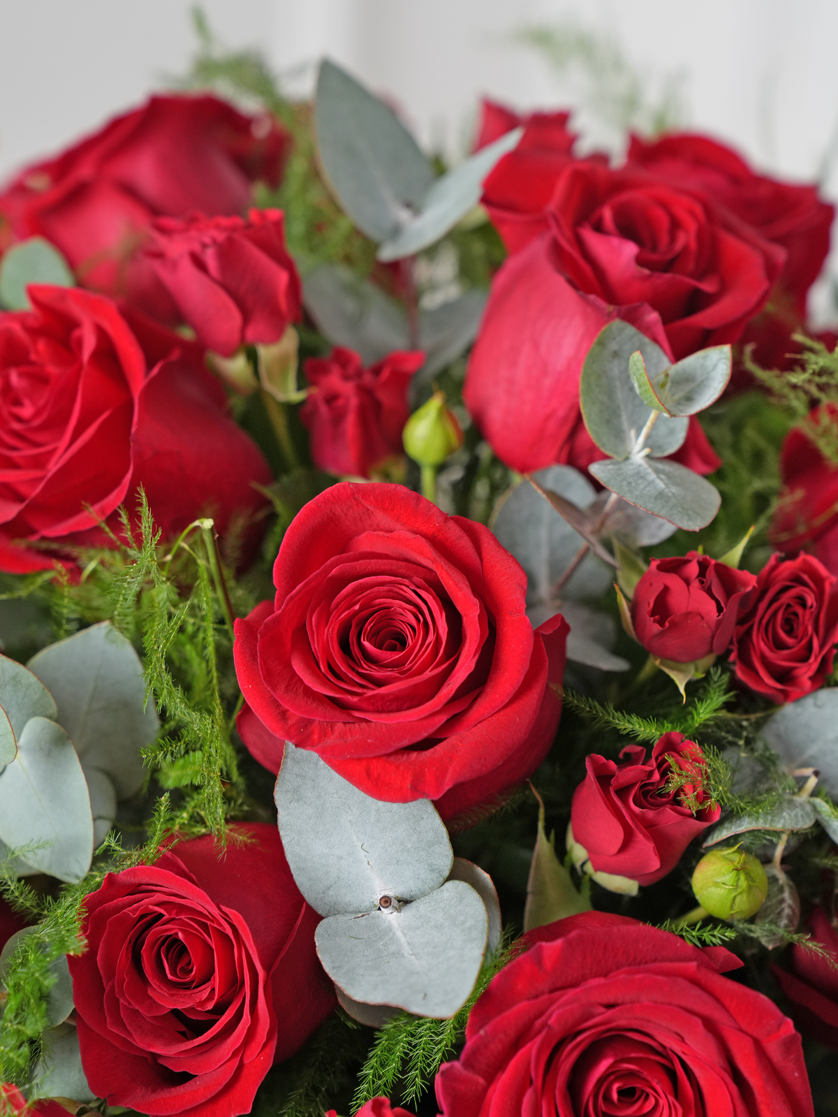 Valentine 24 Red Roses - Hatbox