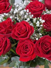 24 Red Roses With a vase – Indulge in the timeless elegance of 24 Long Stem Red Roses gracefully arranged in...