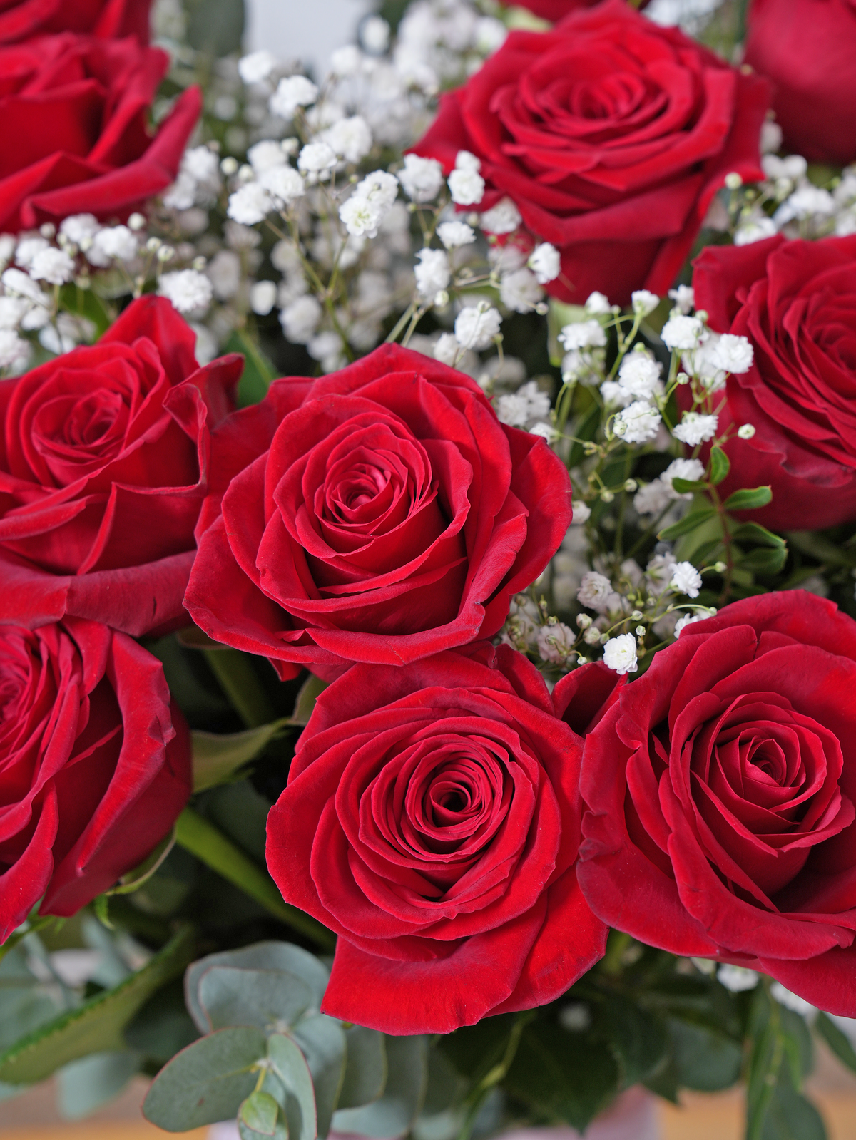 24 Long Stem Red Roses - Vase