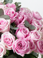 50 Pink Roses in a vase – A bouquet as extraordinary as they are! Surprise someone special with 50 Long-Stem Pink...
