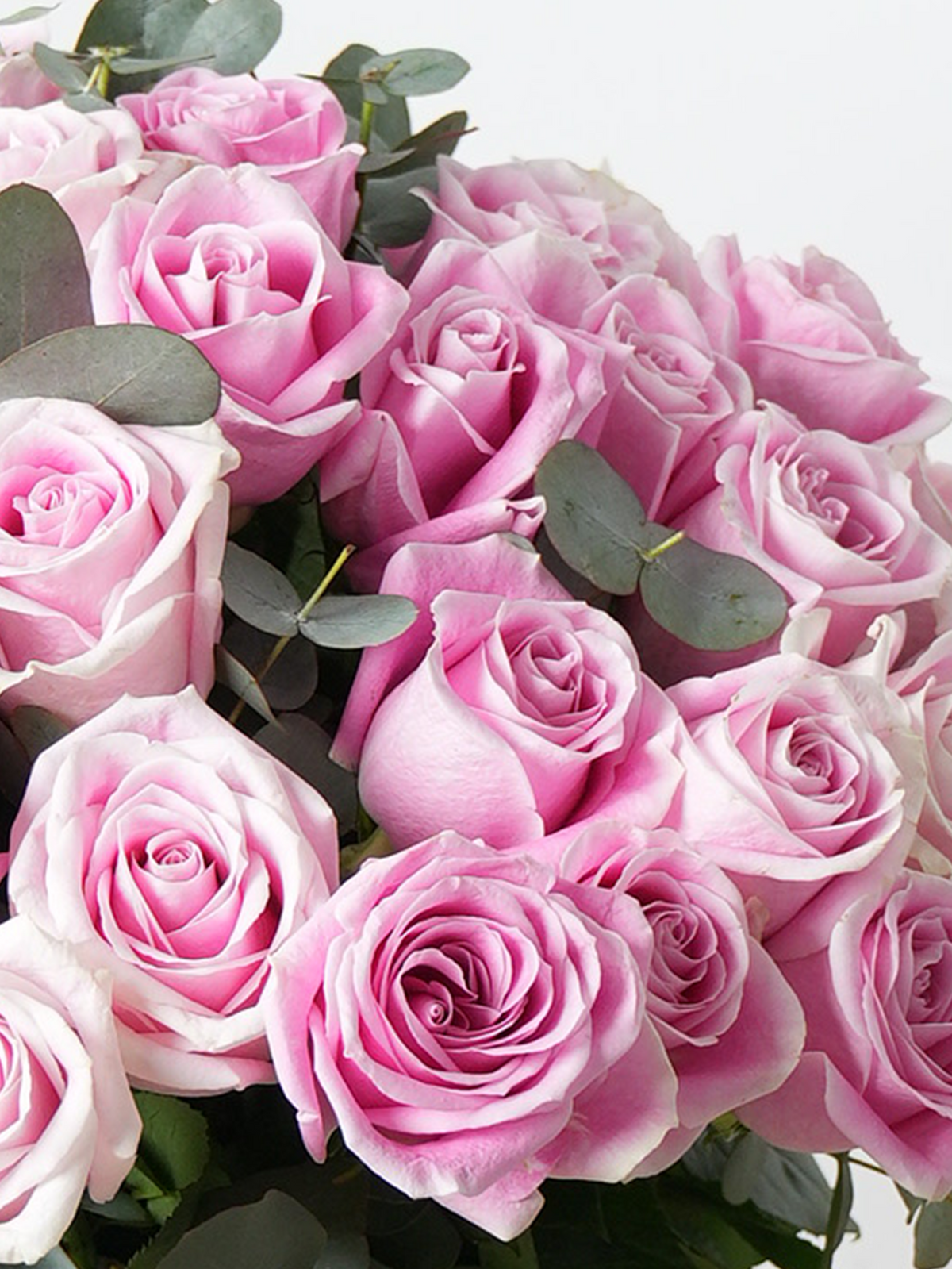 Women&#39;s Day 50 Long Stem Pink Roses - Vase