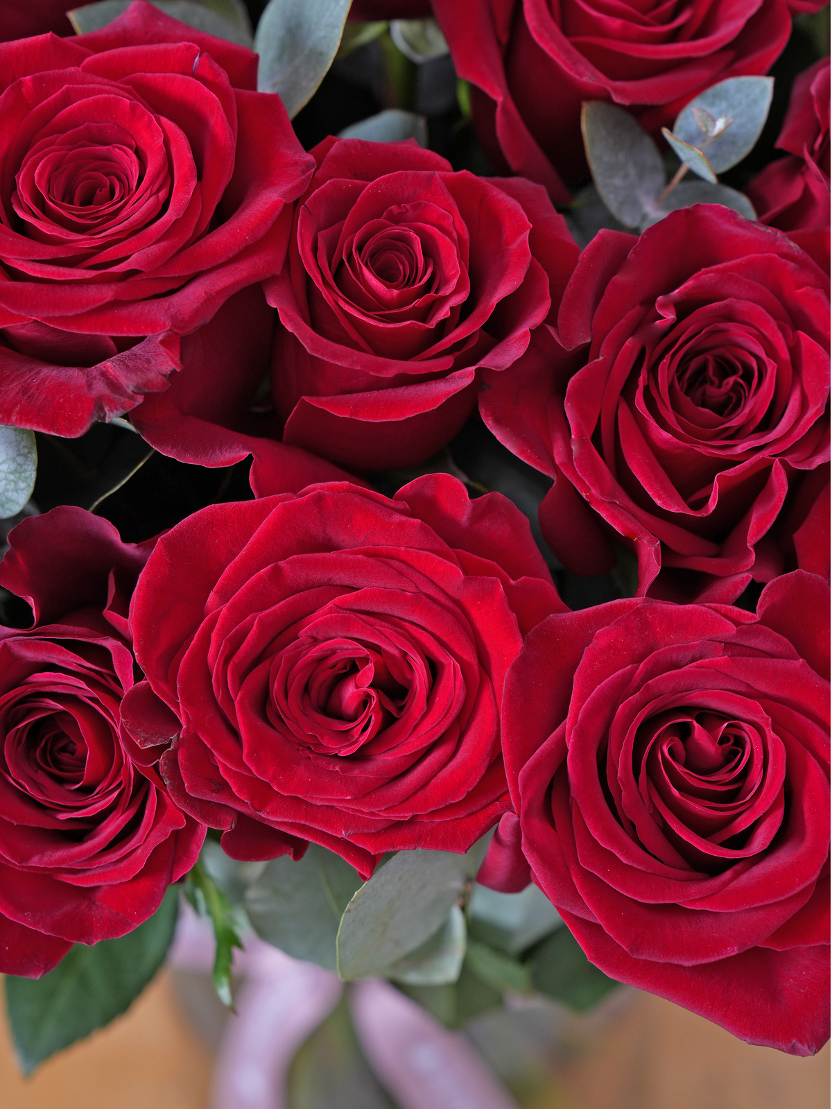 Valentine 50 Long Stem Red Roses - Vase