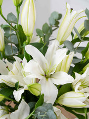 Anniversary White Lily - Vase Gift Set – The White Lily in a vase adorned with eucalyptus and pistach leaves serves as...