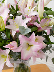 Anniversary Pink Lily - Vase Gift Set – The Pink Lily in a vase adorned with eucalyptus and pistach leaves serves as...