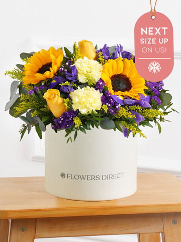 Iris Bliss Hatbox Next Size Up – On Us!