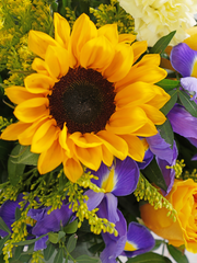 Iris Bliss Hatbox – Meet Iris Bliss — a vibrant hatbox for any occasion. Bursting with Blue Iris,...