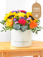 Colour Burst Hatbox Free Upgrade – Brighten up any room with our "Colour Burst" arrangement, featuring stunning sunflowers, cerise carnations,...