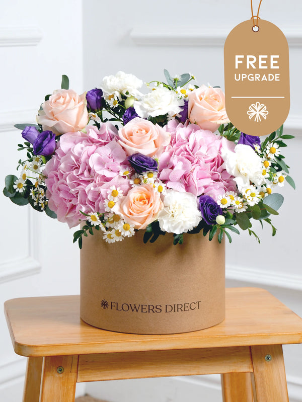 Sweet Pastel Hatbox Free Upgrade