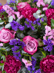 Purple Majesty Spray – A comforting blend of purple roses, statice, carnations, and delicate foliage, this floral arrangement...