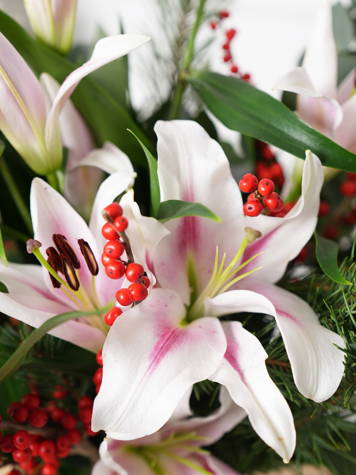 Pink Lily Christmas Vase