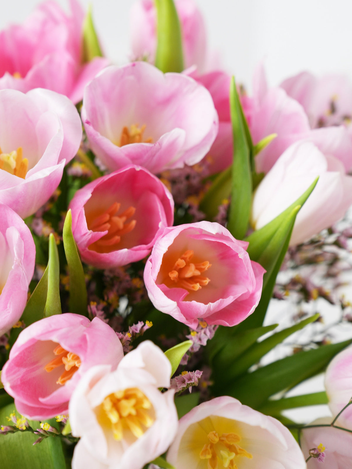 Valentine Pink Tulips - Vase