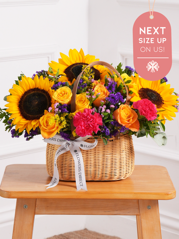 Colour Burst Basket  Next Size Up - On us!