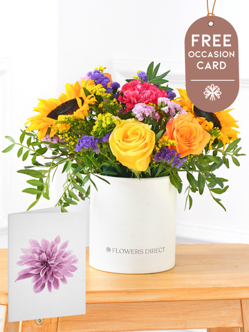 Colour Burst - Hatbox with Free Occasion Card