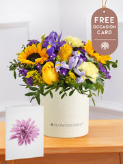 Iris Bliss Hatbox with Free Occasion Card – Meet Iris Bliss — a vibrant hatbox for any occasion. Bursting with Blue Iris,...