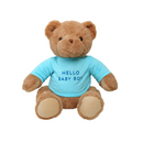Hello Baby Boy Teddy