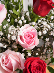 12 Red & Pink Roses with a vase – Celebrate the special people in your life with our 12 Red &amp; Pink Roses...