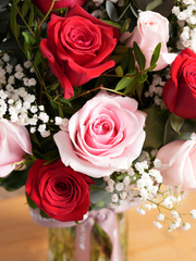 24 Long Stem Red & Pink Rose - Vase –  Express your deepest love with our 24 Long-Stem Red &amp; Pink Roses in an...