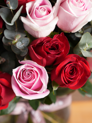 50 Red & pink roses with a vase – Make a statement with 50 Long-Stem Red &amp; Pink Roses – Vase—a breathtaking blend...