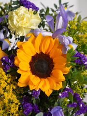 Iris Bliss Grand in a vase – Bring any occasion to life with the Iris Bliss – Large Vase. This vibrant...