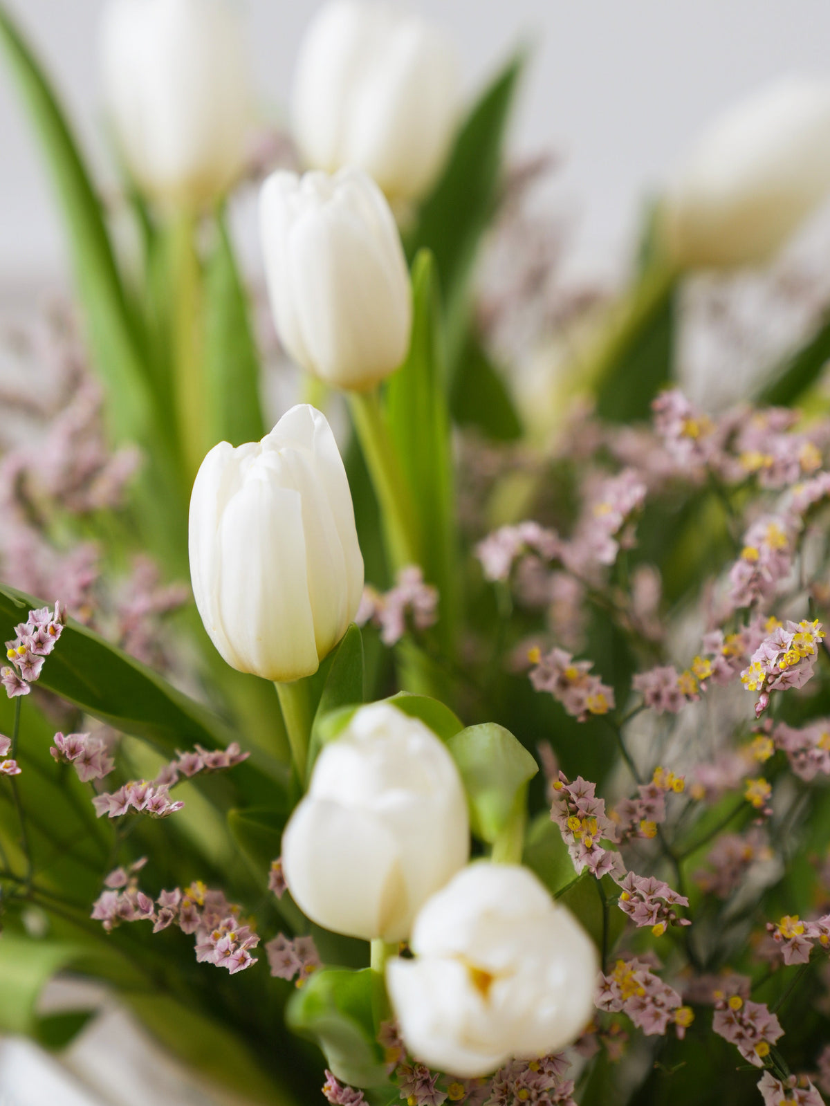 Women&#39;s Day White Tulips - Vase Gift Set