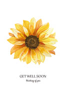 Get Well Soon