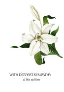 With Deepest Sympathy